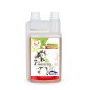 Immunpower – Bild 2