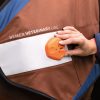 Physikalische Gefäßtherapie Bemer – Bild 2