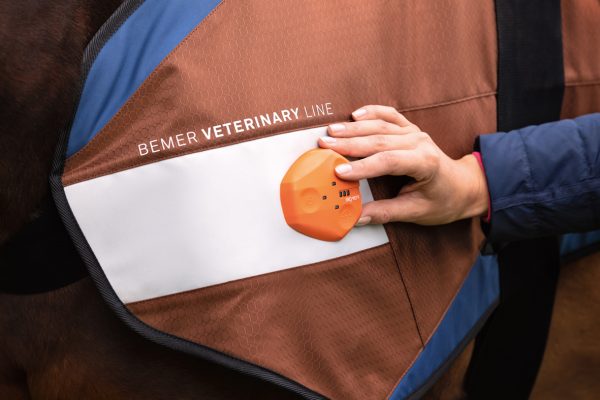 Physikalische Gefäßtherapie Bemer – Bild 2
