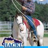 Basistraining für Pferde