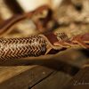 Bernd-Hackl-Bosal – Bild 10