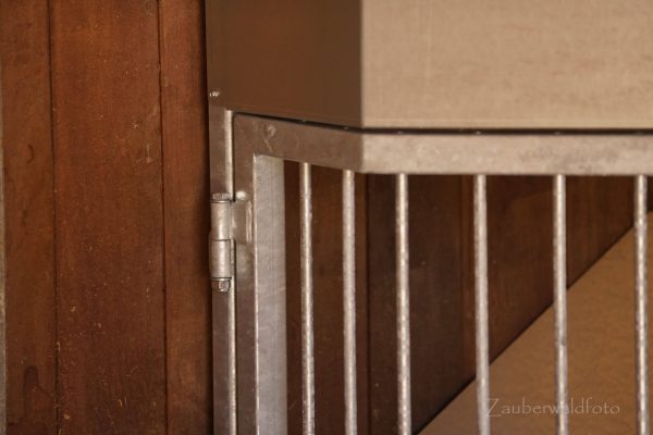 7P Safety-Feeder – Bild 6