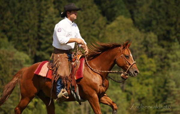 Bernd-Hackl-Bosal – Bild 4