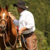 Bernd-Hackl-Bosal – Bild 5