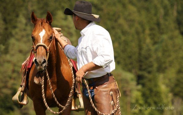 Bernd-Hackl-Bosal – Bild 5