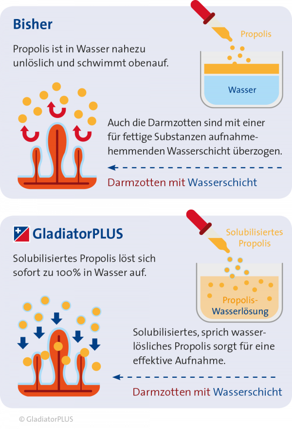 GladiatorPLUS Pferd 1.000ml – Bild 4