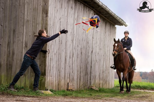 Flatterball 7P-Edition 2er Set – Bild 5