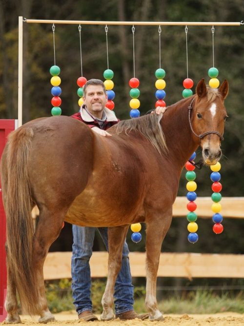 Lucky Horse Bälletor