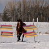 Lucky Horse Vertrauensgasse – Bild 4