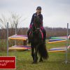 Lucky Horse Vertrauensgasse – Bild 5