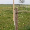 Lucky Horse Lochschiene – Bild 3