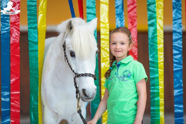 Lucky Horse Flattervorhang – Bild 2