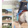 SET Teile 1 + 2 + 3: Vorbereitende Übungen & Bodenarbeit & Reiten EXTREME TRAIL Park – Bild 3