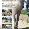 SET Teile 1 + 2 + 3: Vorbereitende Übungen & Bodenarbeit & Reiten EXTREME TRAIL Park – Bild 5
