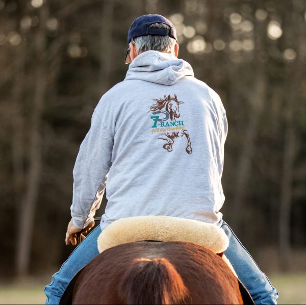 7P-Kollektion Hoodie Herren grau / Stickung braun-türkis