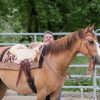 7P-Reitpad Classic hell by Bernd Hackl – Bild 5