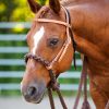 Kopfstück Loping Hackamore einseitig verstellbar helles Leder