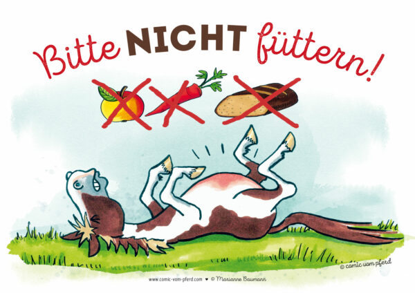 Schilder Comic A4 (verschiedene Ausführungen) – Bild 8