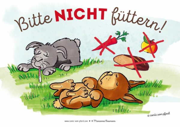 Schilder Comic A4 (verschiedene Ausführungen) – Bild 7
