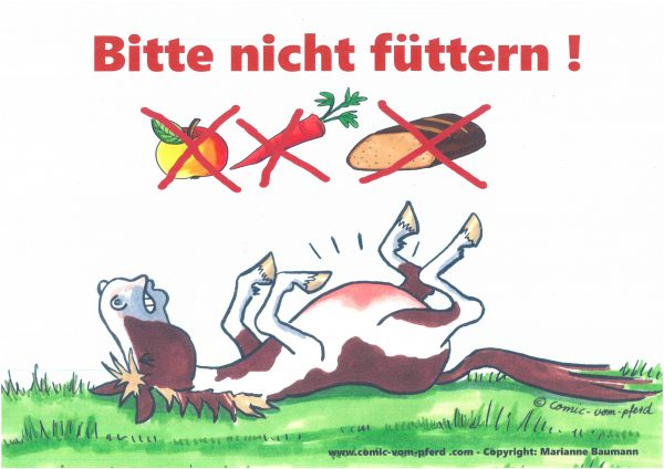 Schild A3 (verschiedene Ausführungen) – Bild 2
