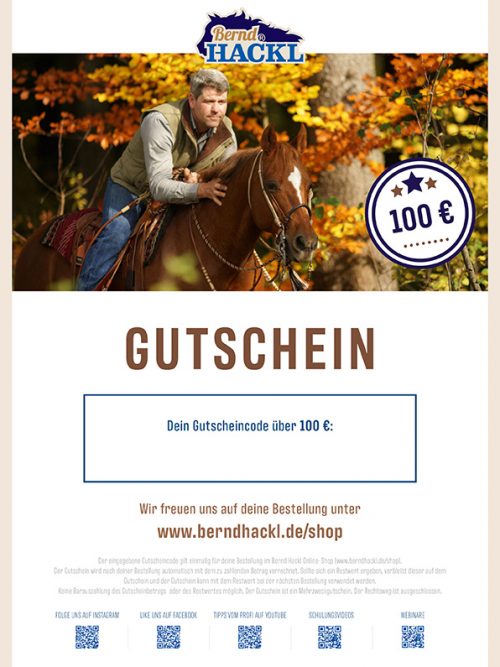 Einkaufsgutschein Online-Shop Wert 100 €