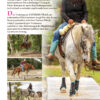 SET Teile 1 + 2 + 3: Vorbereitende Übungen & Bodenarbeit & Reiten EXTREME TRAIL Park – Bild 7
