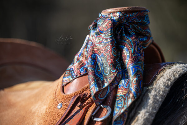 Halstuch / Wild Rag - Türkis Paisley