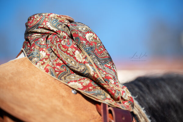 Halstuch / Wild Rag - Red Paisley