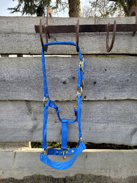 Halfter Deluxe Berry Blue