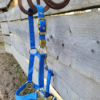 Halfter Deluxe Berry Blue – Bild 2