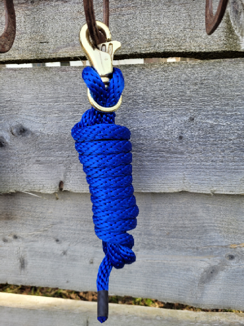 Strick Trigger Bull Snap Royal Blue