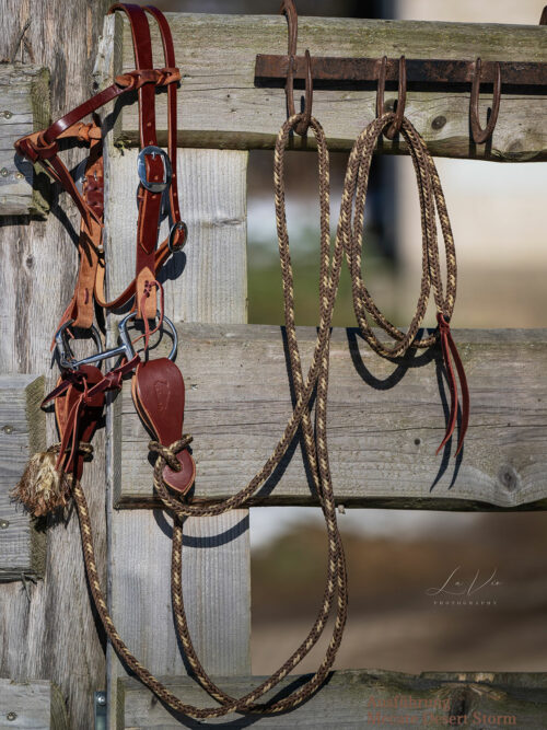 Cowboy Bridle Avarage Complete Set / 7P-Mecaten Kerstin Rester Kollektion (zweiseitig verstellbar, dunkles Leder, Gebiss 12,5 cm, Slobber Straps round dunkel)