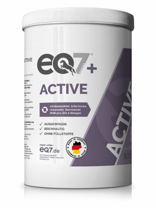 eQ7 + Active