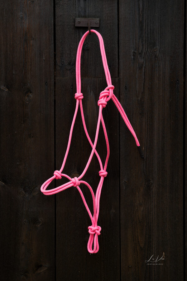 Knotenhalfter 7P-Ranch-Brand / Standardgröße / Stiff / pink