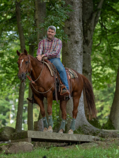 Reiten im Extreme Trail: Spaß & Herausforderung – mit Videoanalysen