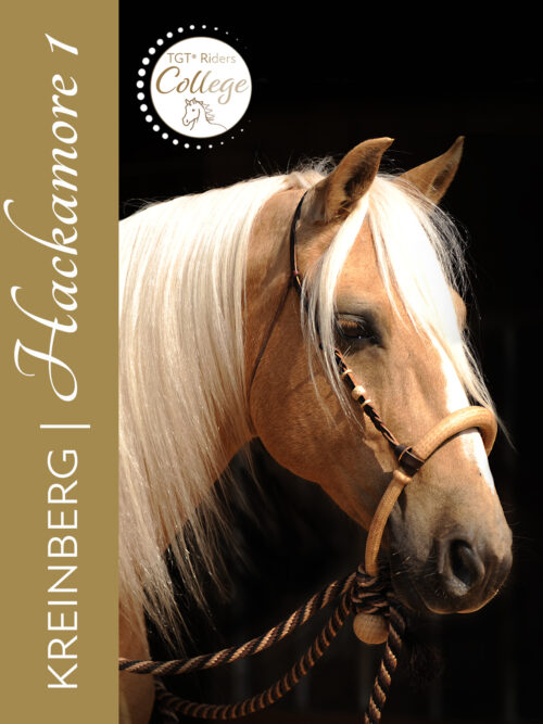 Hackamore 1: Bosal – gebisslos Reiten Online-Kurs mit Peter Kreinberg