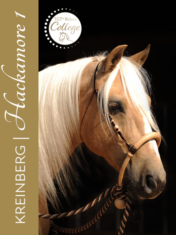 Hackamore 1: Bosal – gebisslos Reiten Online-Kurs mit Peter Kreinberg