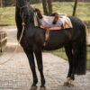 7P-Reitpad Superior dunkel by Bernd Hackl – Bild 10