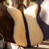 7P-Reitpad Superior dunkel by Bernd Hackl – Bild 8