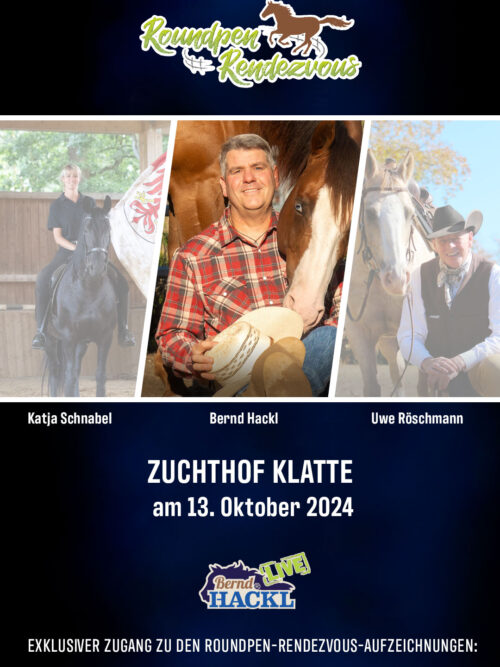 Roundpen Rendezvous Zuchthof Klatte Lastrup 2024: Bernd Hackl (Aufzeichnung/Online-Streaming)
