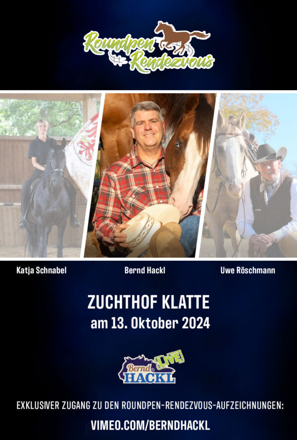 Roundpen Rendezvous Zuchthof Klatte Lastrup 2024: Bernd Hackl (Aufzeichnung/Online-Streaming)