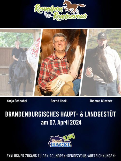 Roundpen Rendezvous Haupt- und Landesgestüt Neustadt (Dosse) 2024: Bernd Hackl (Aufzeichnung/Online-Streaming)