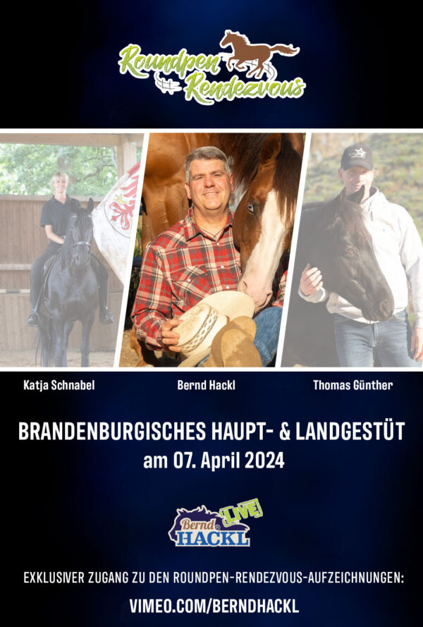 Roundpen Rendezvous Haupt- und Landesgestüt Neustadt (Dosse) 2024: Bernd Hackl (Aufzeichnung/Online-Streaming)