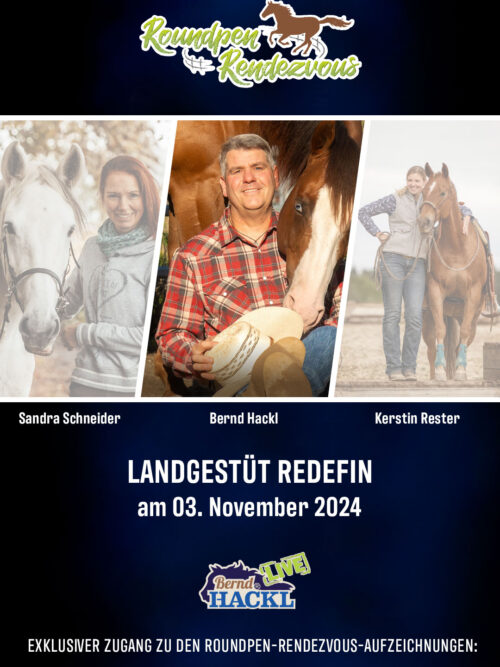 Roundpen Rendezvous Landesgestüt Redefin 2024: Bernd Hackl (Aufzeichnung/Online-Streaming)