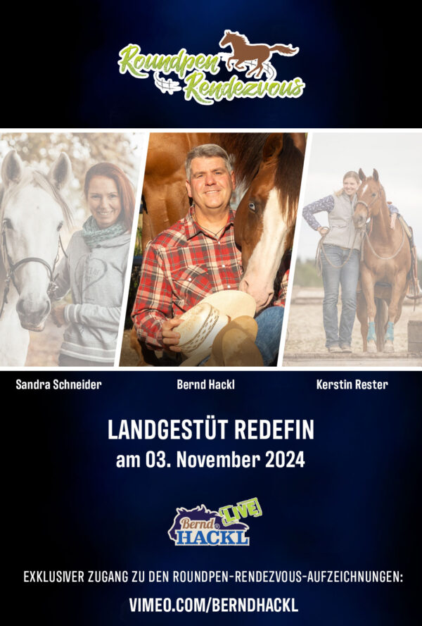 Roundpen Rendezvous Landesgestüt Redefin 2024: Bernd Hackl (Aufzeichnung/Online-Streaming)