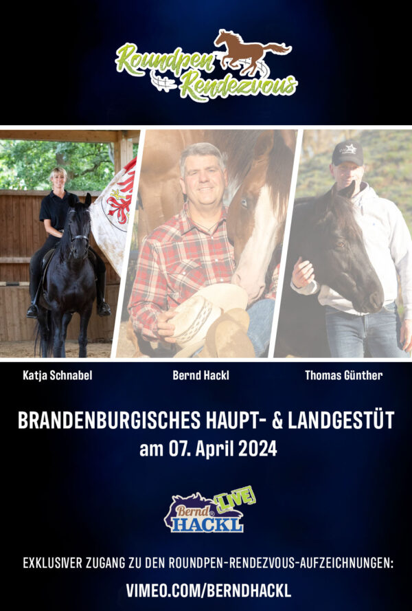 Roundpen Rendezvous Haupt- und Landesgestüt Neustadt (Dosse) 2024: Katja Schnabel (Aufzeichnung/Online-Streaming)