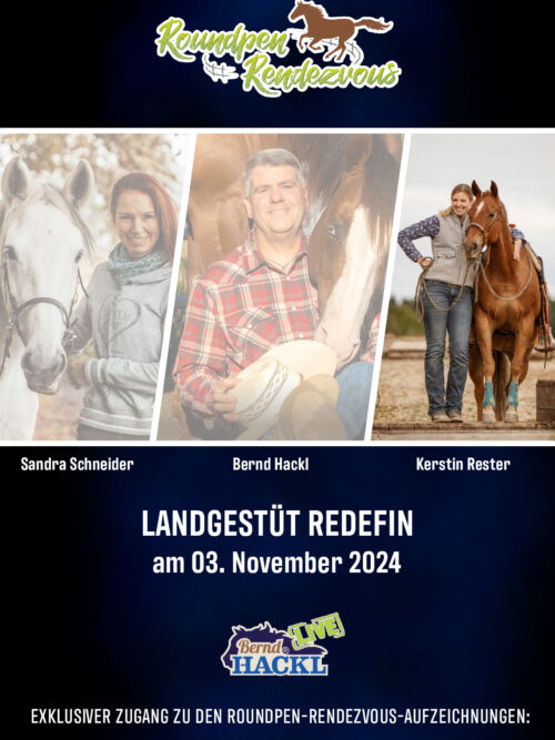 Roundpen Rendezvous Landesgestüt Redefin 2024: Kerstin Rester (Aufzeichnung/Online-Streaming)