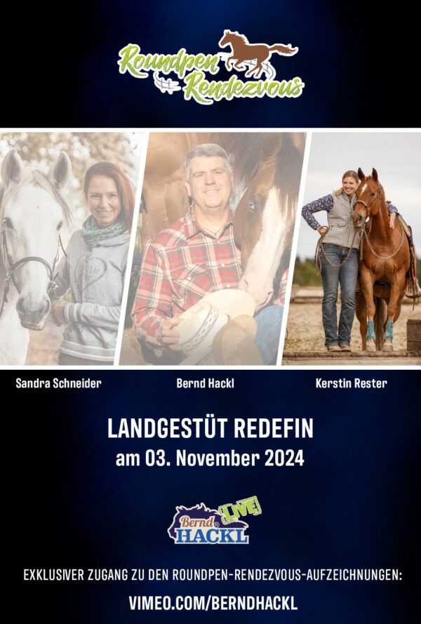Roundpen Rendezvous Landesgestüt Redefin 2024: Kerstin Rester (Aufzeichnung/Online-Streaming)