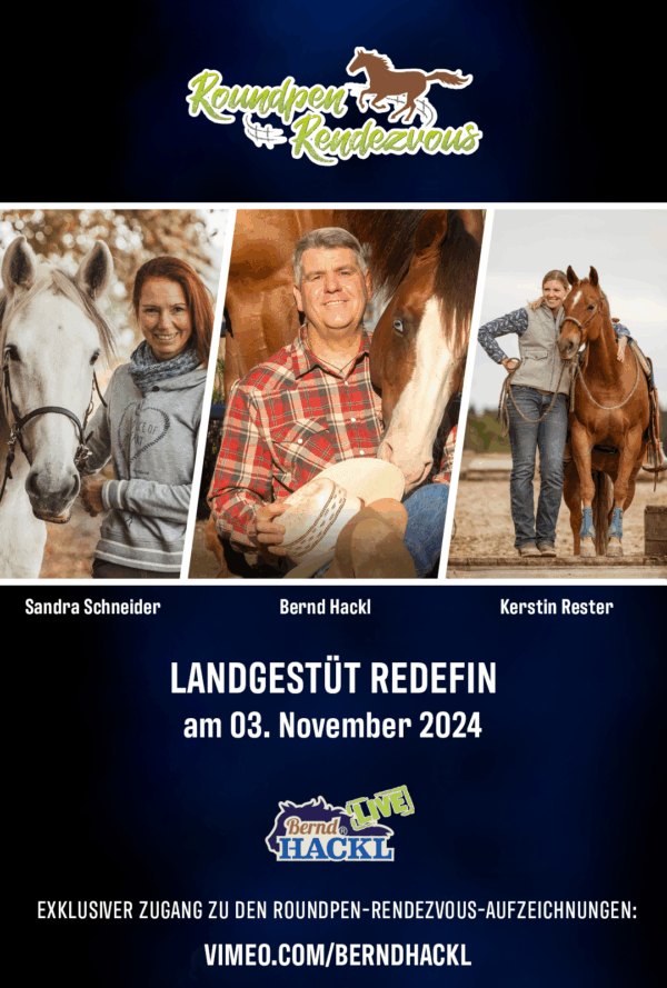 Roundpen Rendezvous Landesgestüt Redefin 2024: Sandra Schneider (Aufzeichnung/Online-Streaming)