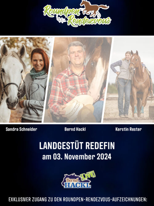 Roundpen Rendezvous Landesgestüt Redefin 2024: Sandra Schneider (Aufzeichnung/Online-Streaming)